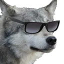 wolfCool wolfCool