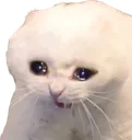 saddercat