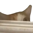 browniePeek