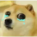 Doggocry Discord Emoji