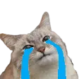 gx_crikat gx_crikat