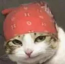 catred