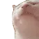 CatJamL