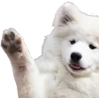 doggo_wave