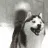 doggo_happy