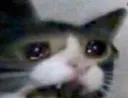 Sadcatto