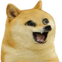 happydogekid happydogekid
