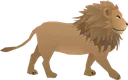 lion_walking