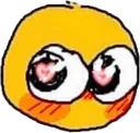 cutehazaki cutehazaki