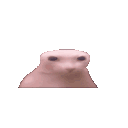 binguszoom