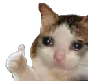 sad_thumbsup