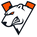team_Virtuspro Discord emoji