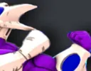 CooraFlex2