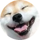 laugh laugh