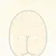 mel_eggbutt