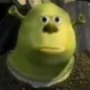 shreksully shreksully