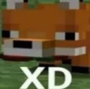 XD