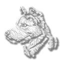 kopek Discord emoji