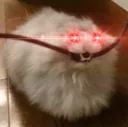 CatMajorOutage CatMajorOutage