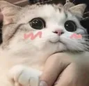 Cat Uw U Discord Emoji