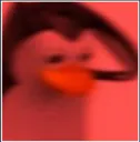1redpinguim 1redpinguim