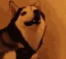 HEH