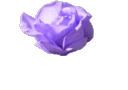 p_flower