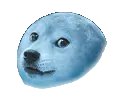 DogeMoon Discord Emoji