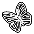 butterfly
