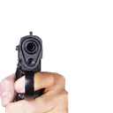 gun1