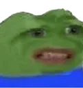 disgust