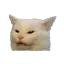 angrycat Discord Emoji