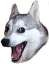 laughdog Discord Emoji