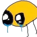 sobby