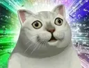 41 41