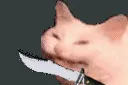 heestab