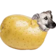 potat