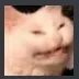 catkek