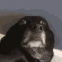 691378057478668289