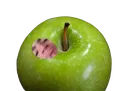 appleman