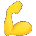 Biceps_ani