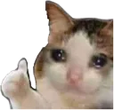 Thumbs Up Cat thumbsupcat Discord Emoji