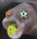 pog pog