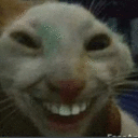 ACOSP_CatSmile Discord Emoji