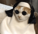 cb_nun_cat Discord emoji