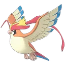 MPidgeot