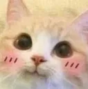 uwu