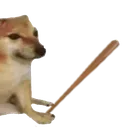 Bonk1