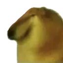 bonk2 bonk2