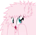 fluffleaaaa fluffleaaaa